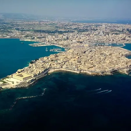 Dammusella * Syracuse